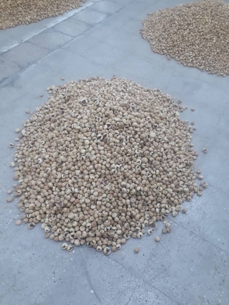 خرید انجیر خشک ممتازه استهبان