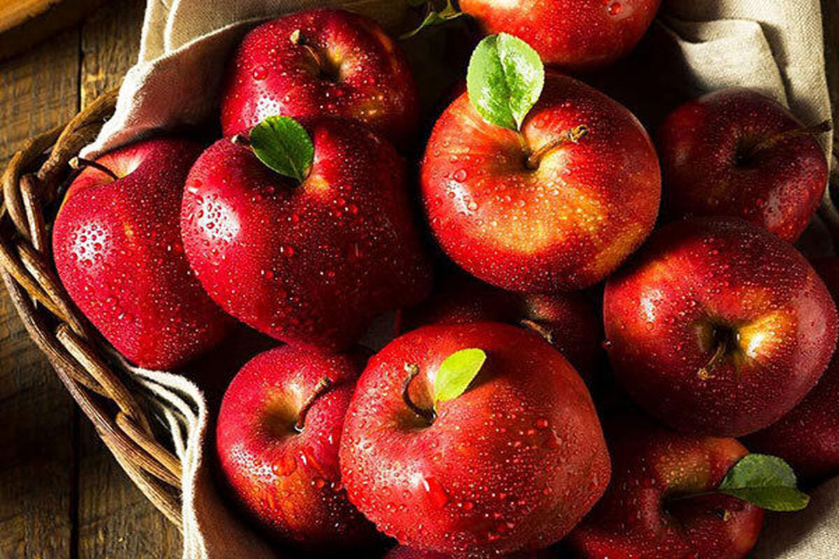 خرید و قیمت سیب قرمز صادراتی + فروش عمده