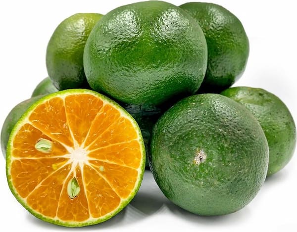 قیمت خرید نارنگی سبز ژاپنی عمده به صرفه و ارزان