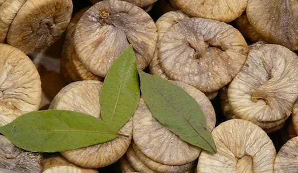 قیمت انجیر خشک قهوه ای + پخش تولیدی عمده کارخانه