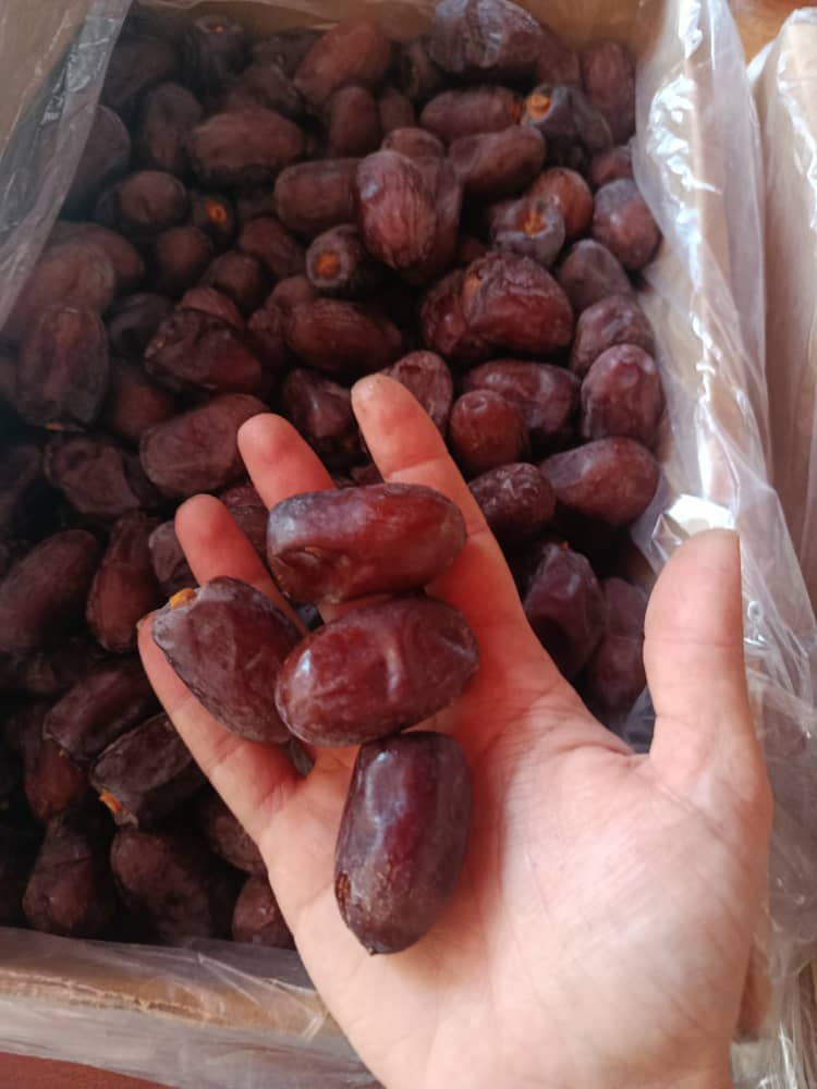 پخش عمده خرما کلوته جیرفت و کهنوج + مناسب عمده فروشان و صادر کنندگان با قیمت استثنایی