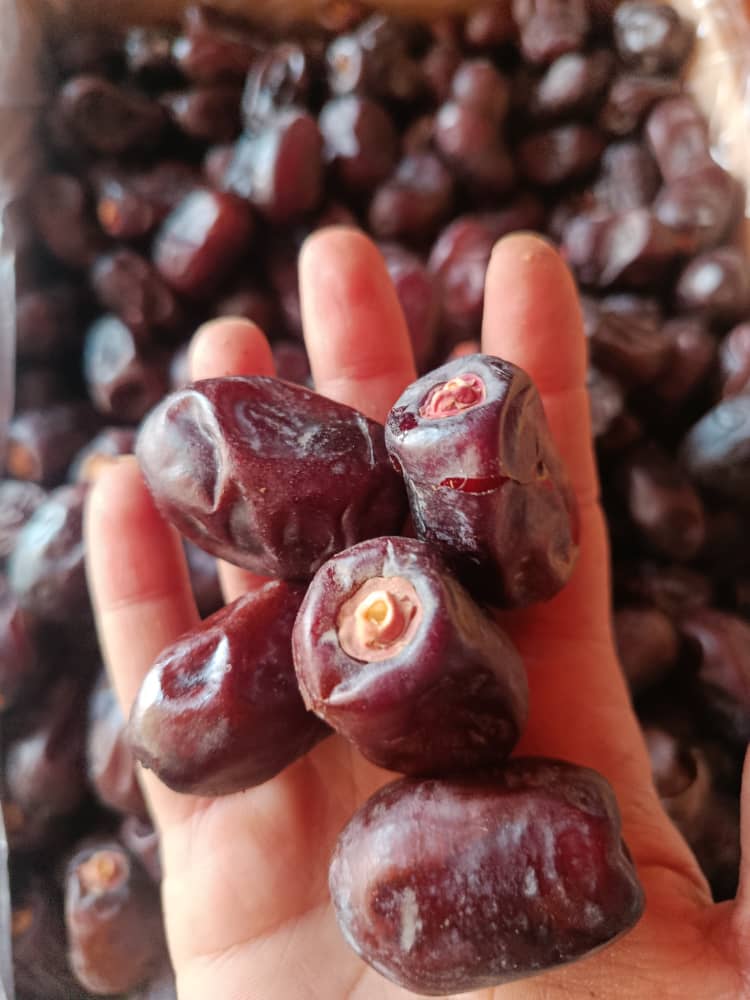 فروش ویژه خرما کلوته عنبرآباد خام و روغن زده برای بازار داخلی ایران و صادراتی کشورهای همسایه