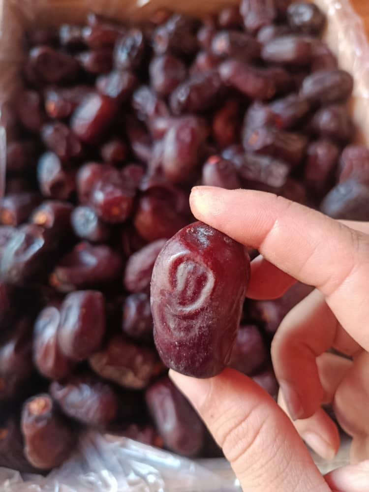 خرید عمده خرما کلوته جنوب کرمان (جیرفت و کهنوج و عنبرآباد) با قیمت رقابتی و کیفیت تضمینی