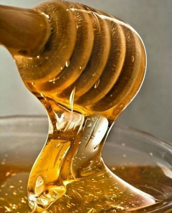 فروش ویژه عسل سدر + خرید آسان