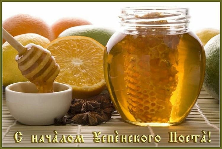 خرید تضمینی عسل اقاقیا + فروش عمده