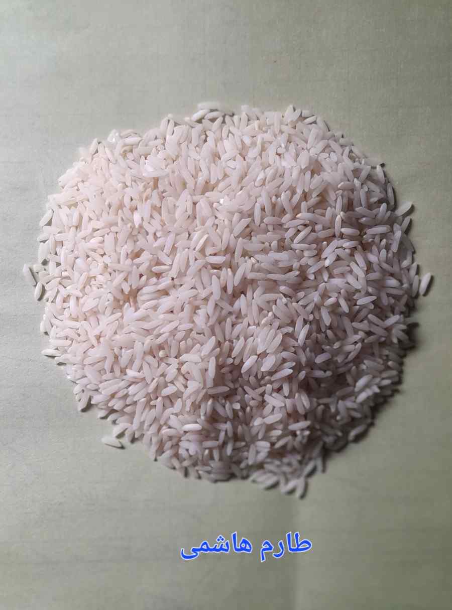 خرید برنج طارم هاشمی + فروش عمده برنج شمال