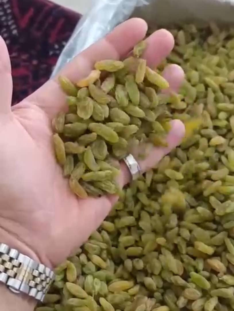 کشمش سبز قلمی کاشمر + با قیمت استثنایی