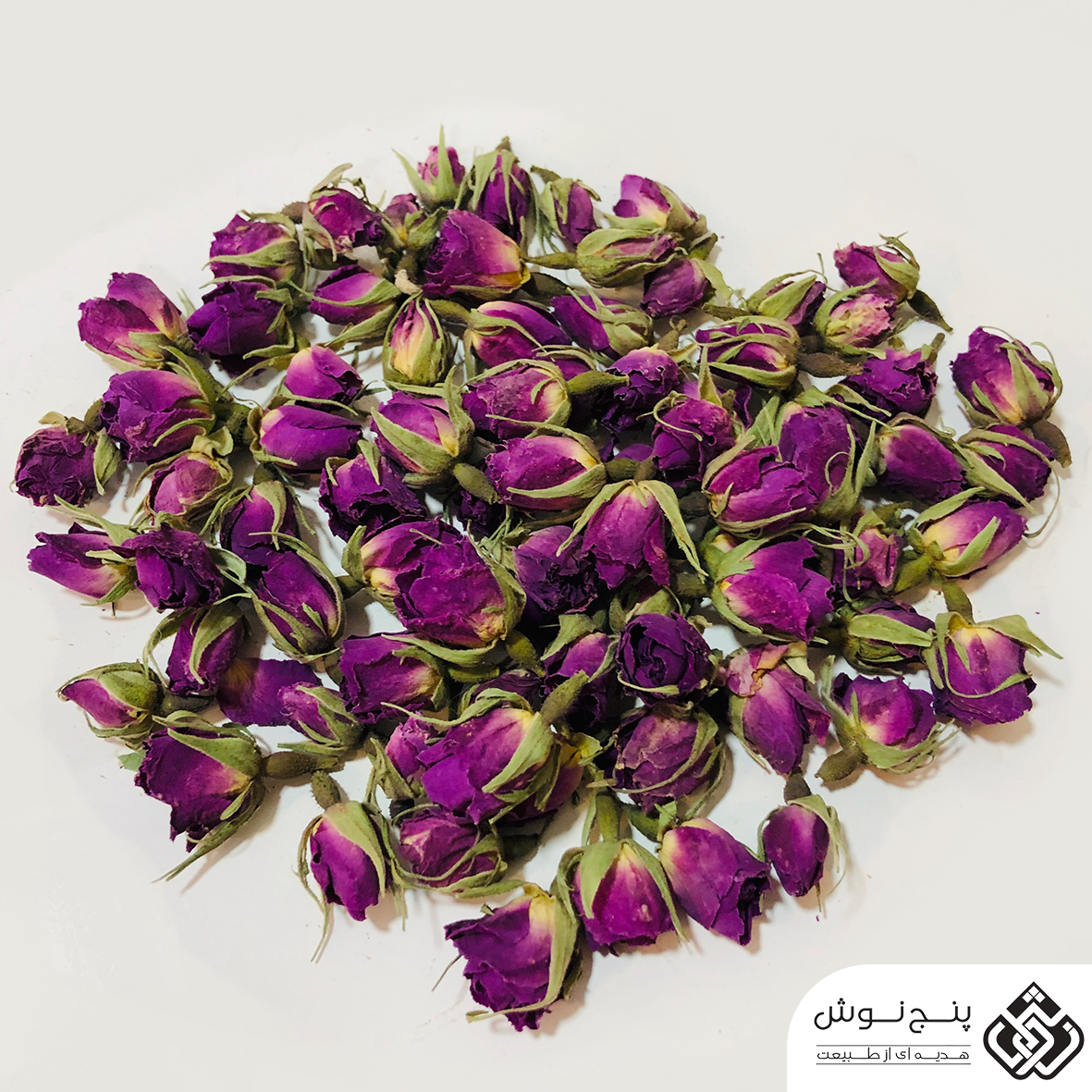 خرید عمده غنچه گل محمدی شرکت فولاد گل