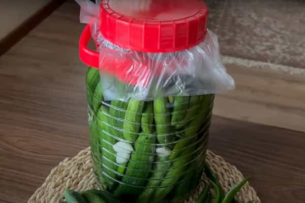 خرید خیارشور ریز و قلمی + قیمت فروش استثنایی