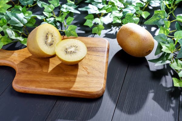 قیمت خرید کیوی تو زرد مازندران عمده به صرفه و ارزان