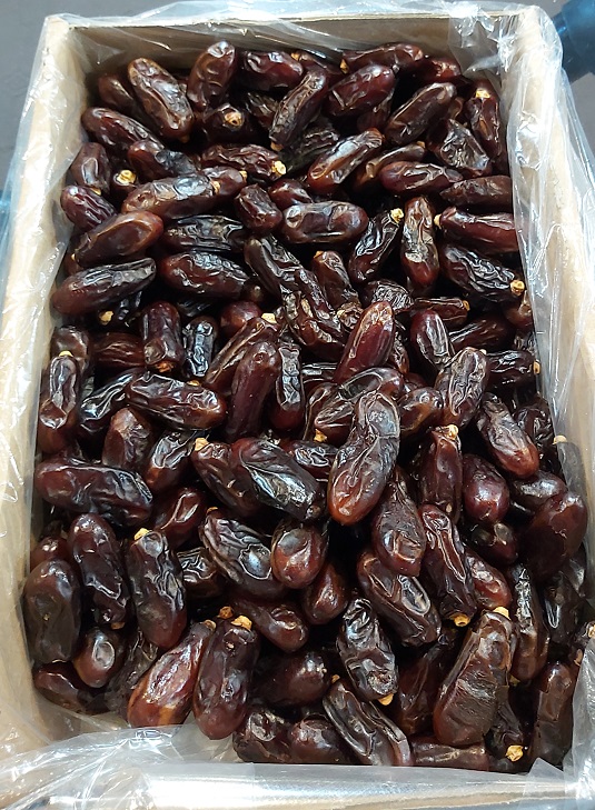 خرید خرما ربی جلگه با کیفیت