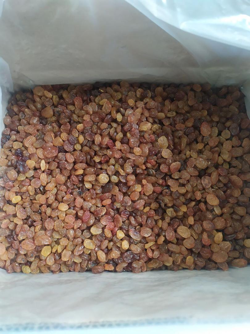 قیمت عمده کشمش آفتابی گله پا درختی بدون مواد افزودنی + بدون روغن