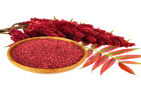 خرید و فروش عمده سماق قرمز خوشه با کیفیت ممتاز