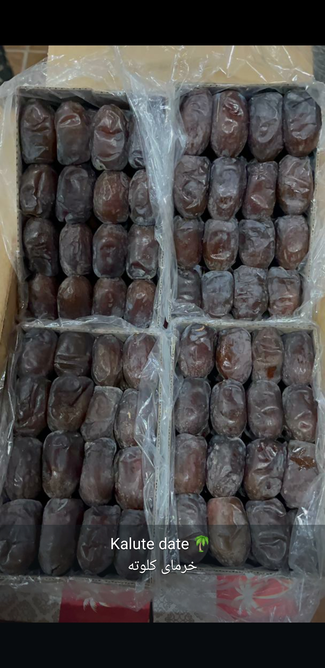 قیمت خرید خرما کلوته درجه یک جیرفت خرید مستقیم از کشاورز با قیمت مناسب