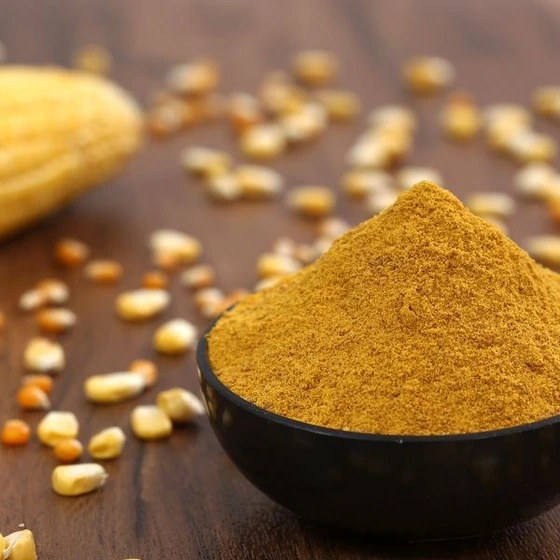 قیمت گلوتن ذرت ویژه خوراک دام + خرید مستقیم و عمده