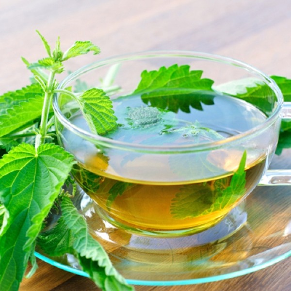 فروش عصاره خوراکی گزنه مایع گرید غنی شده