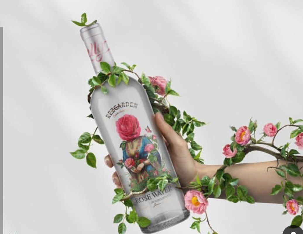 گلاب مدرن + فروش