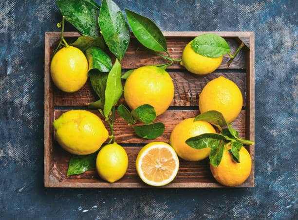 قیمت خرید لیمو ترش پرشین مازندران با فروش عمده