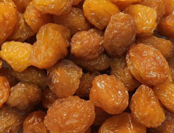 قیمت خرید آلو بخارا خشک طلایی عمده به صرفه و ارزان