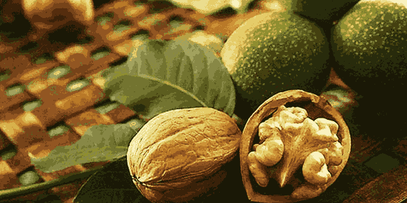 قیمت گردوی کاغذی با پوست سبز + فروش عمده