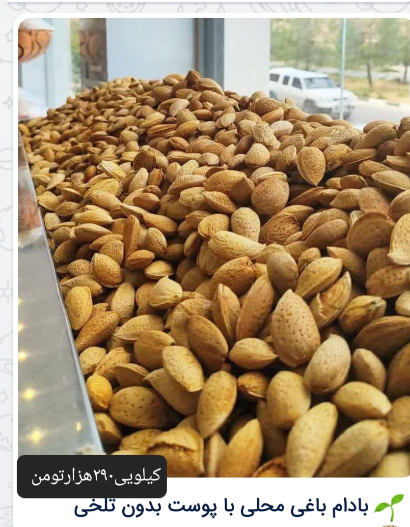 بادام سنگی باغی + فروش عمده