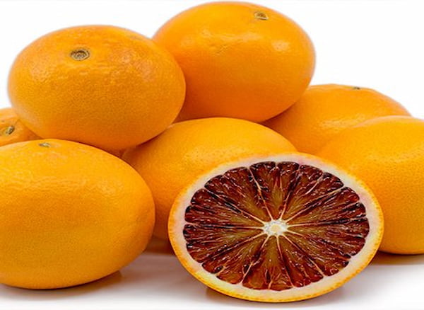 قیمت خرید لیمو ترش خونی + فروش ویژه