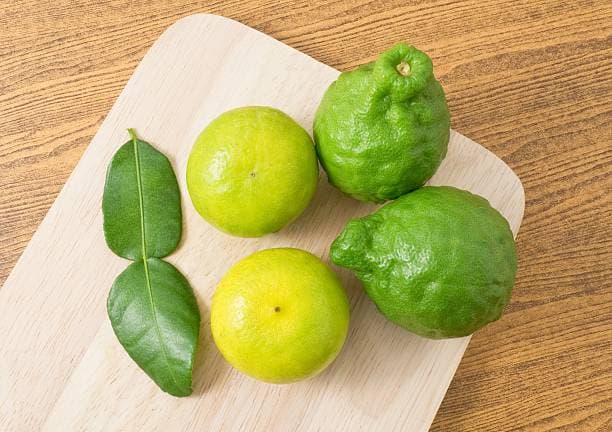 قیمت خرید لیمو ترش جنوب با فروش عمده