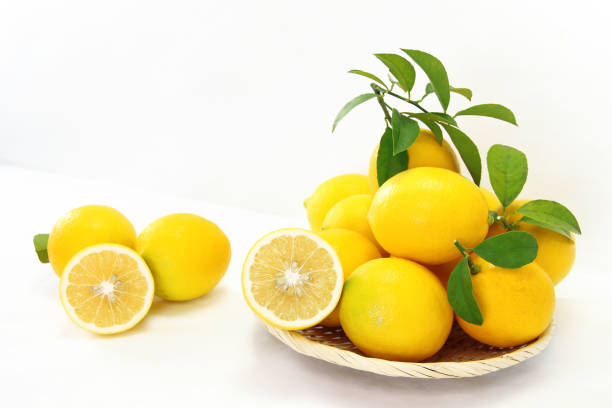 قیمت لیموشیرین جنوب درجه یک + پخش تولیدی عمده کارخانه