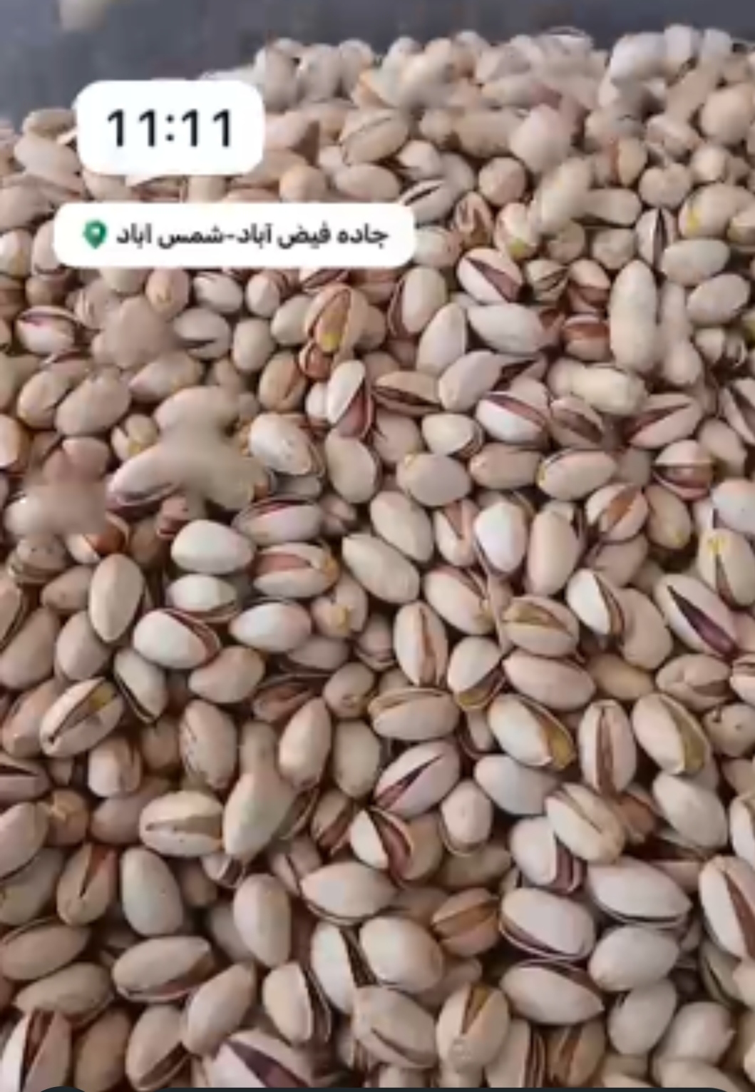 خرید پسته بادامی + فیض آباد صادراتی