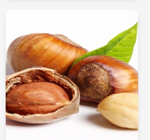مغز فندق  بو داده + با کیفیت عالی