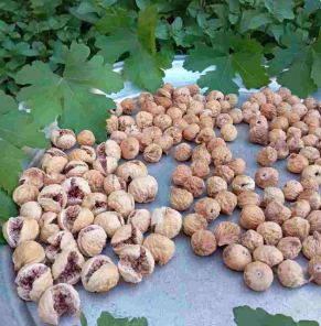 خرید انجیر خشک اعلا + خرید عالی