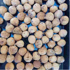خرید انجیر خشک کوهی + خرید عالی