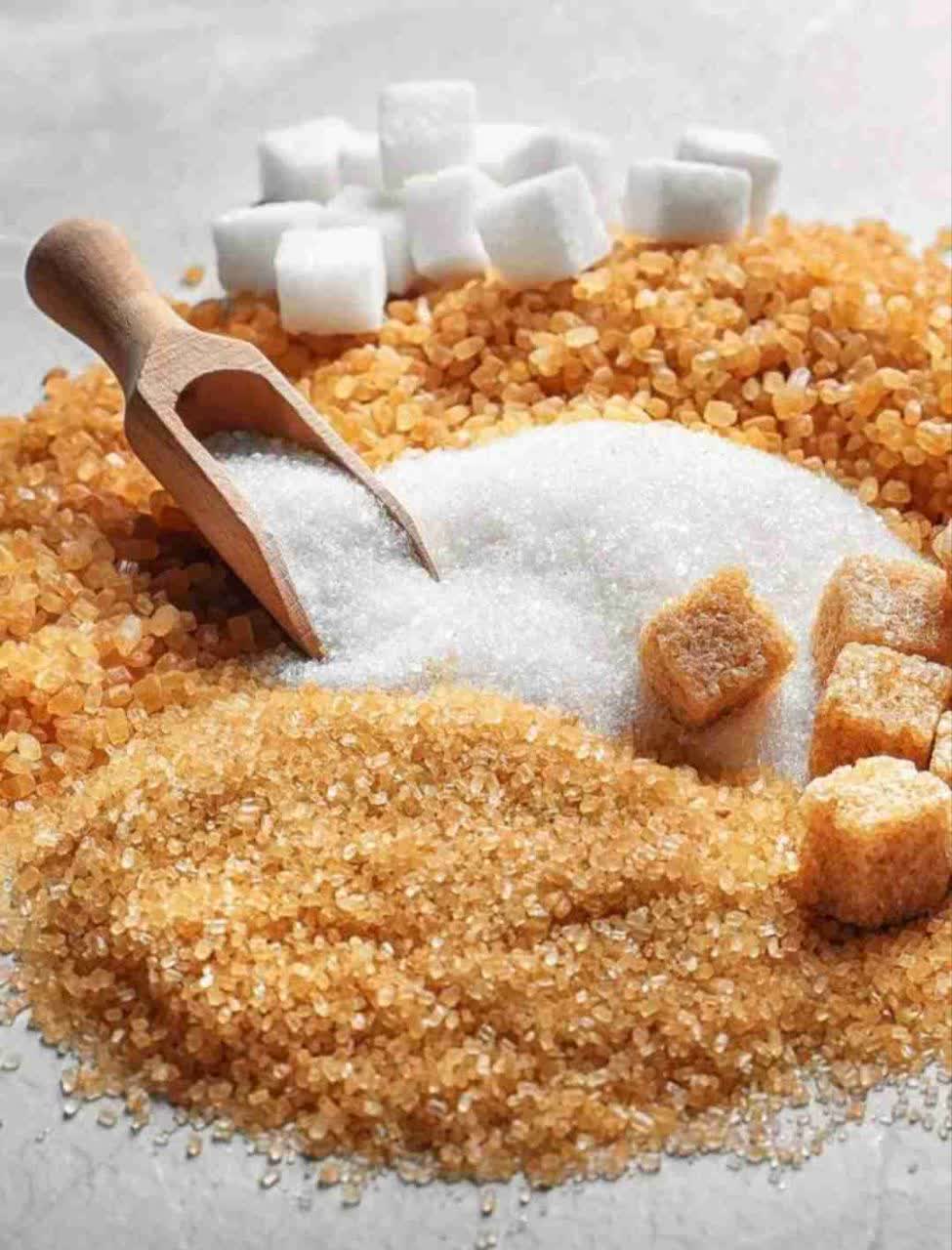 فروش ویژه شکر قهوه ای برای تولید شکر پنیر