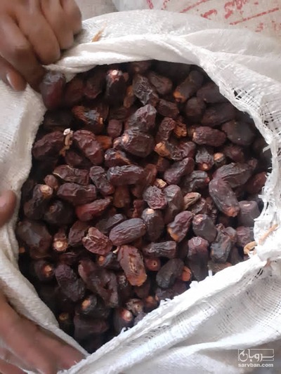 خرید خرما ضایعات جیرفت