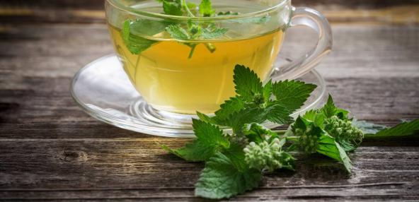 فروش عمده دمنوش بادرنجبویه (ملیس)