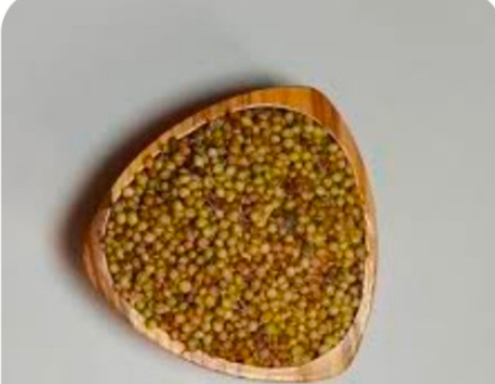 خرید و شناختن انواع بذر گشنیز