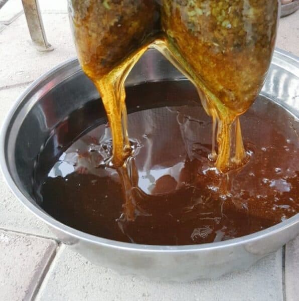 قیمت خرید عسل مرغوب + فروش ویژه