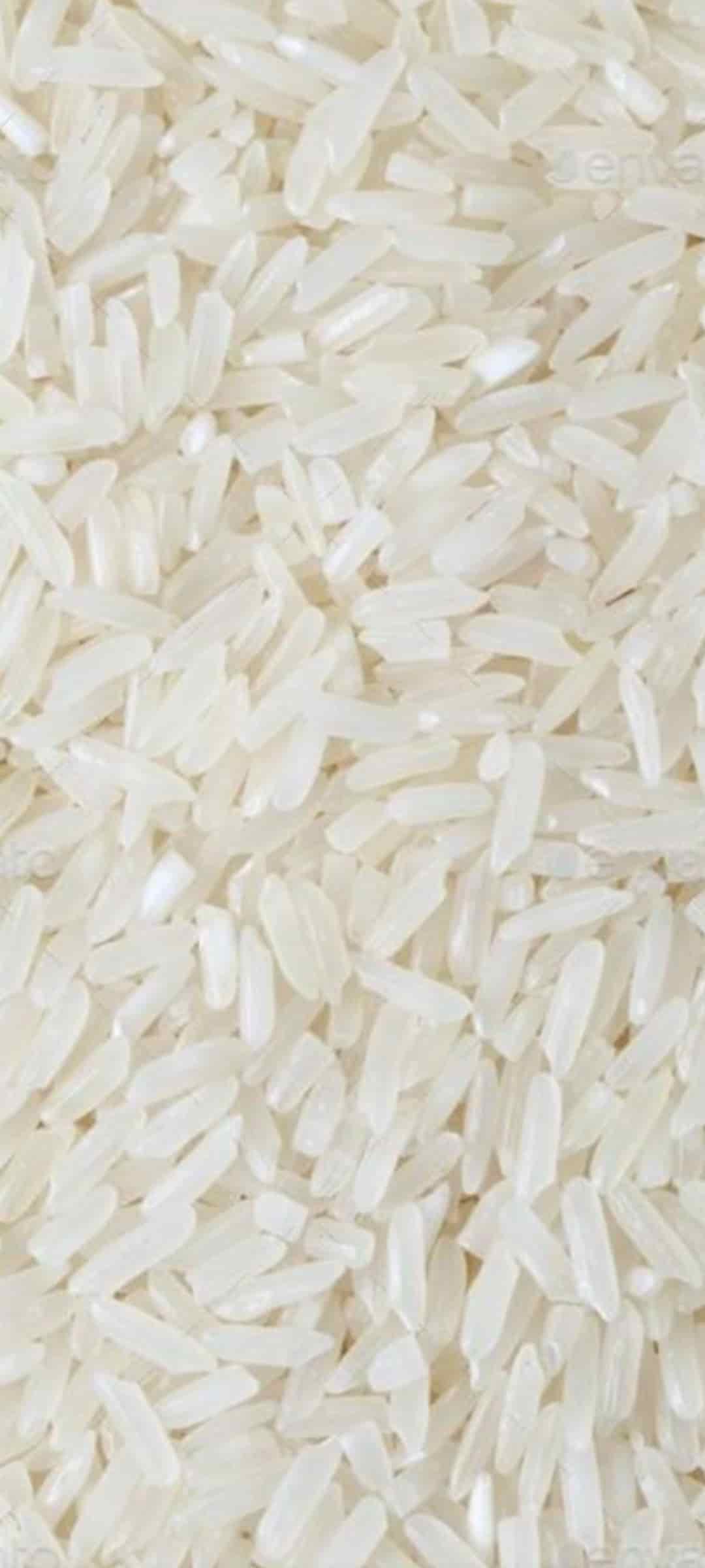 قیمت خرید برنج چمپا درجه یک میداوود و با غملک