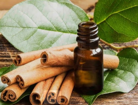 اسانس دارچین طبیعی با کیفیت و مقرون به صرفه