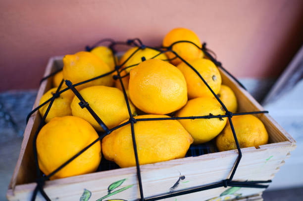 قیمت لیمو شیرین تازه و آبدار جنوب با کیفیت ارزان + خرید عمده