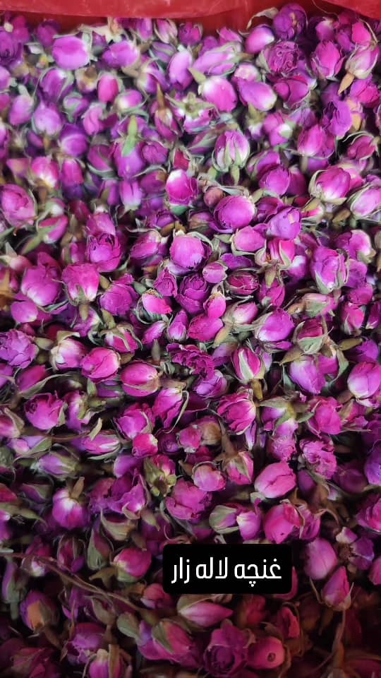 قیمت غنچه گل محمدی خشک + سورت شده و بدون نرمینه