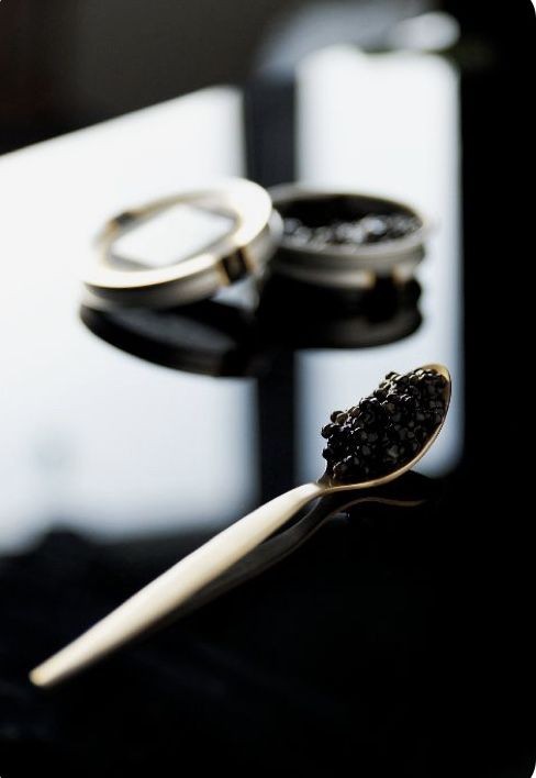 سیاه خاویار پرورشی دریای شمال + قیمت استثنائی