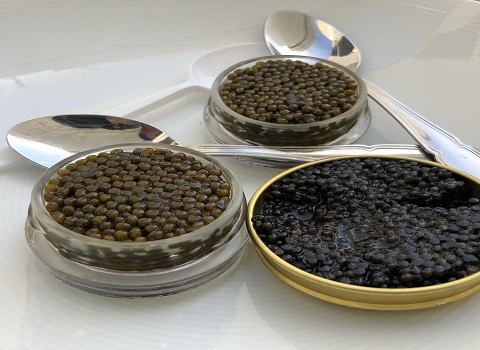 سیاه خاویار پرورشی اصل شمال + قیمت به صرفه