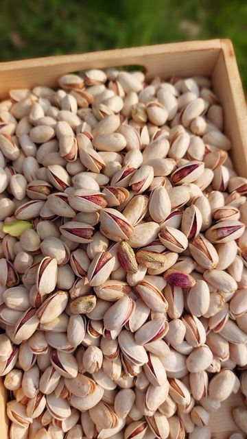 فروش پوست پسته