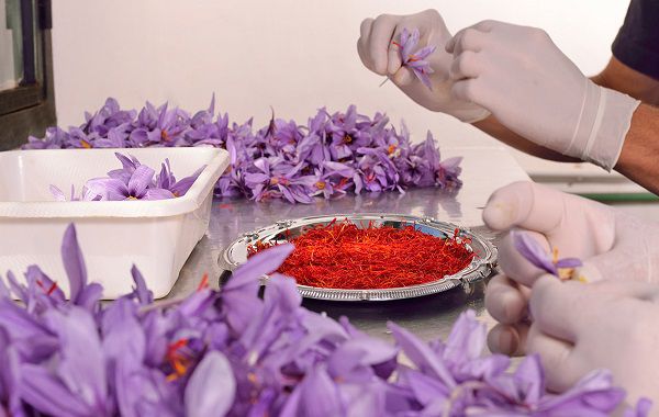 قیمت زعفران صادراتی + خرید باور نکردنی
