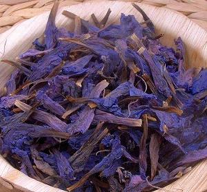 خرید عمده گل گاوزبان ایرانی + قیمت رقابتی صادراتی