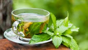 فروش عمده دمنوش نعناع طبیعی و خوش‌عطر