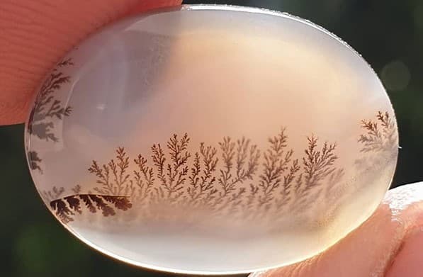 قیمت عقیق شجره بهاری + خرید باور نکردنی