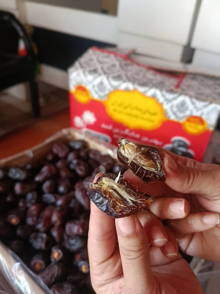 فروش خرمای مضافتی به صورت عمده برای پخشکنندگان داخلی