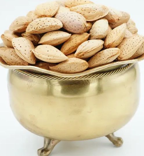 قیمت خرید بادام سفید مرغوب + خرید به صرفه
